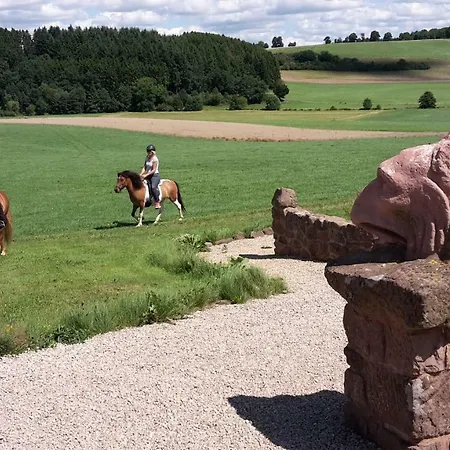Ferienhaus Heinfried Auel